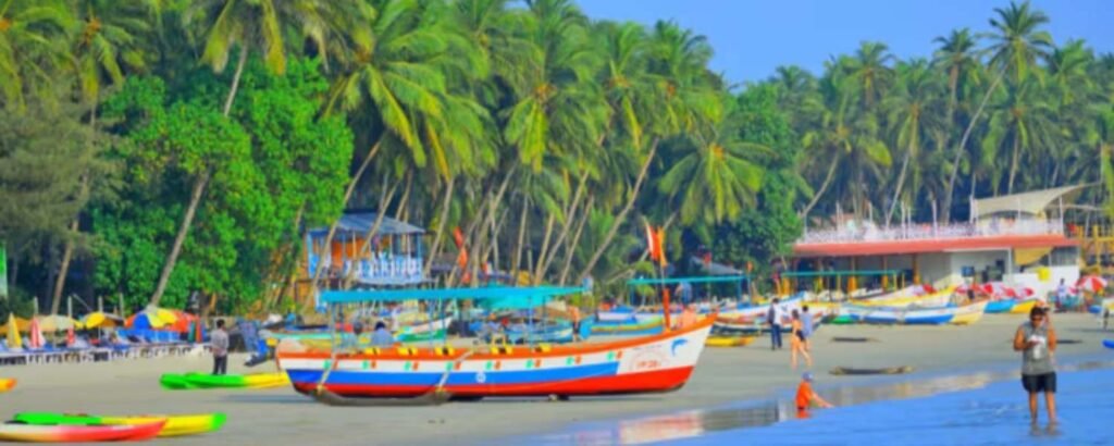 Malvan 