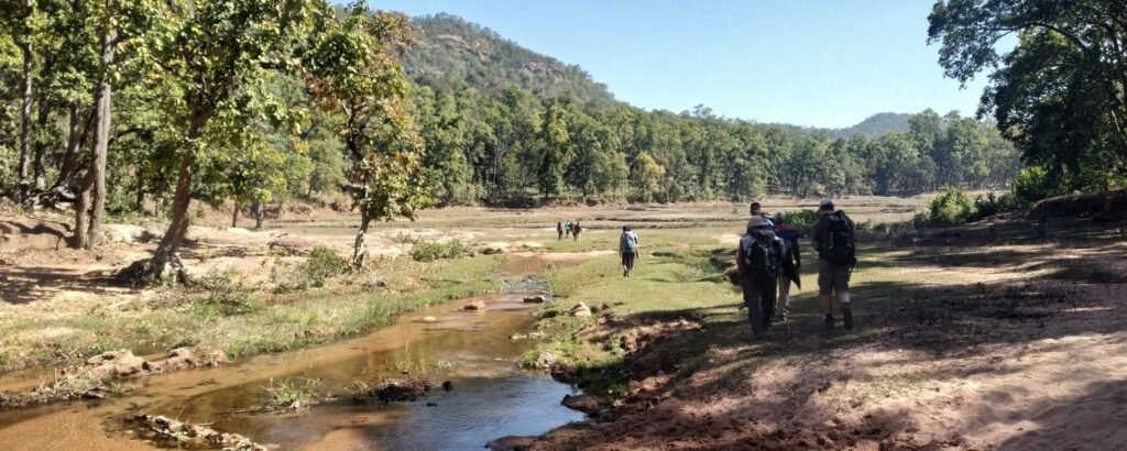 Guru Ghasidas (Sanjay) National Park 