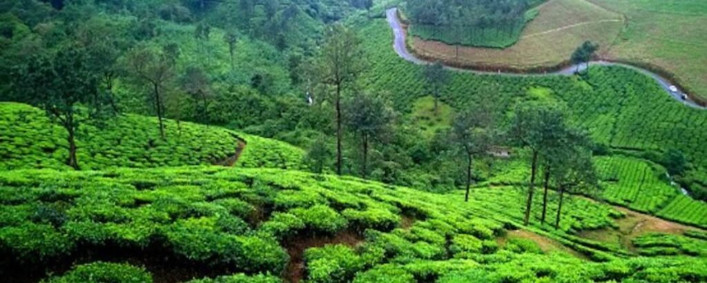 Vagamon