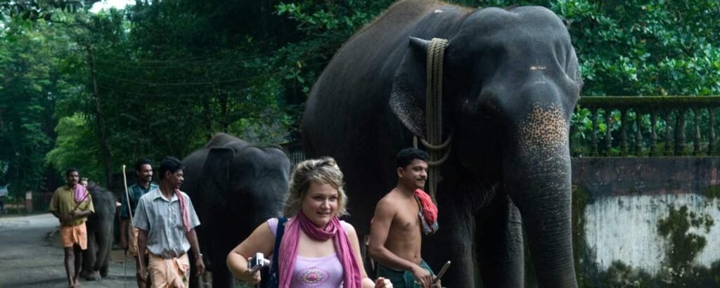 Kodanad Elephant Training Centre