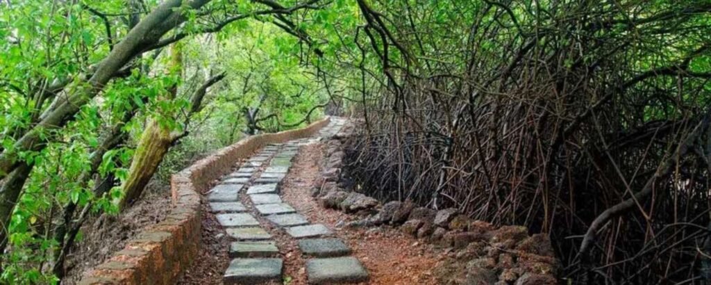 Salim Ali Bird Sanctuary