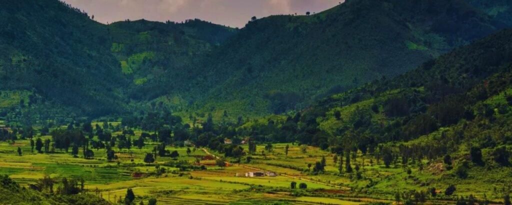 Araku Valley 
