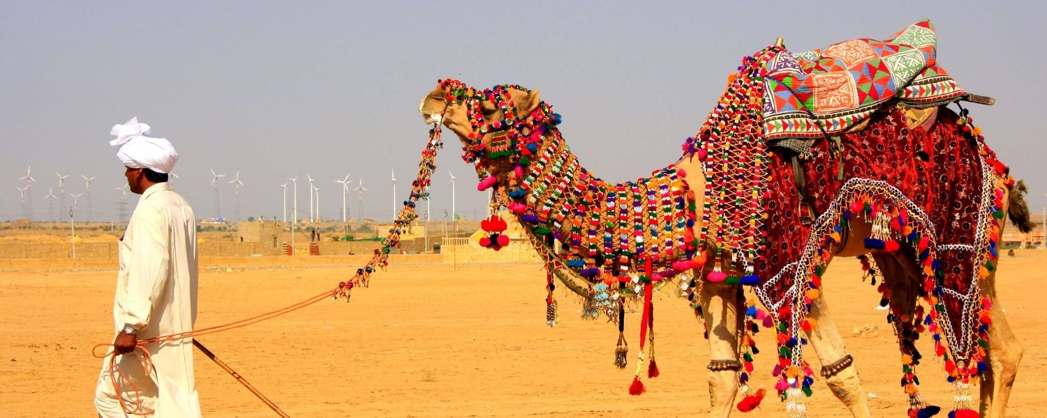 Camel Ride in Neemrana Fort