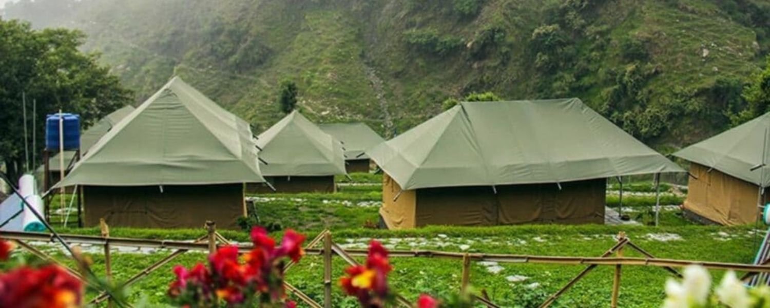 top things to do in dharamshala,
things to do in dharamshala at night, Camping in dharamshala
