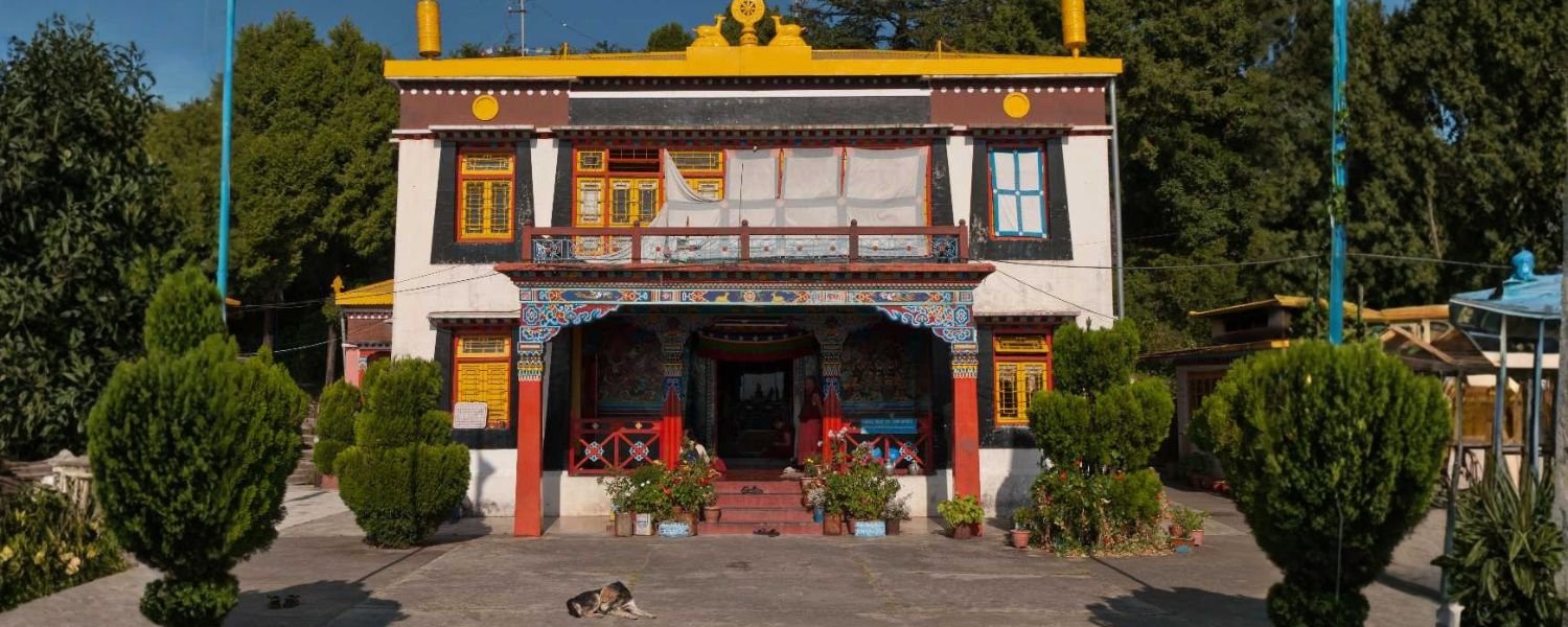 How to Reach Shedup Choepelling Temple