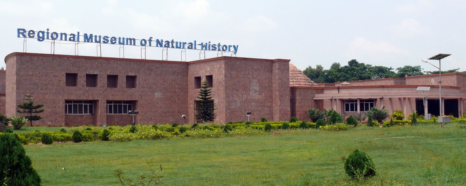 Regional Museum of Natural History