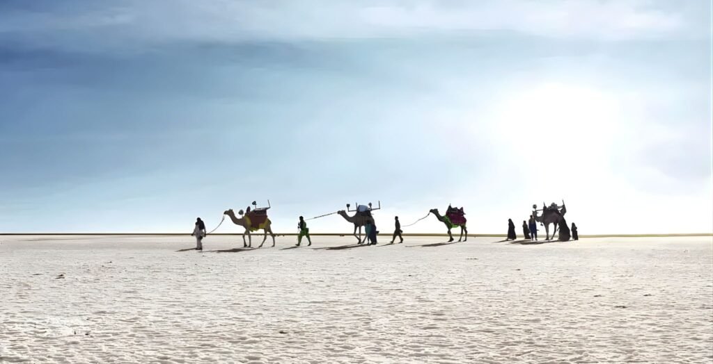 Rann of Kutch Festival Dates