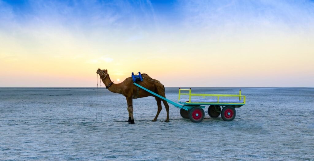 Rann of Kutch