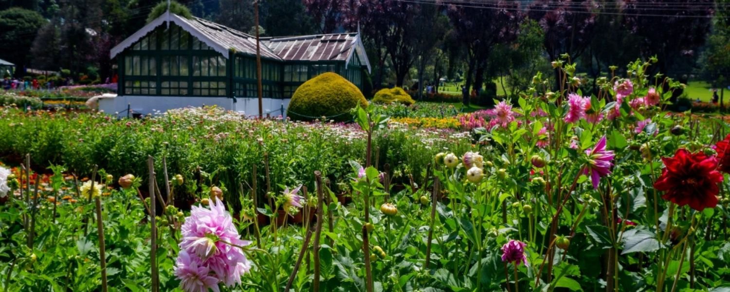 Explore Ooty Botanical Garden