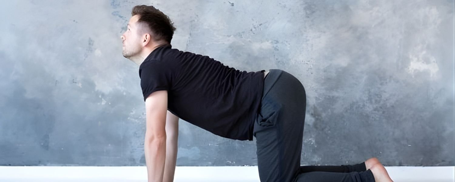 Cat Camel Backstretch