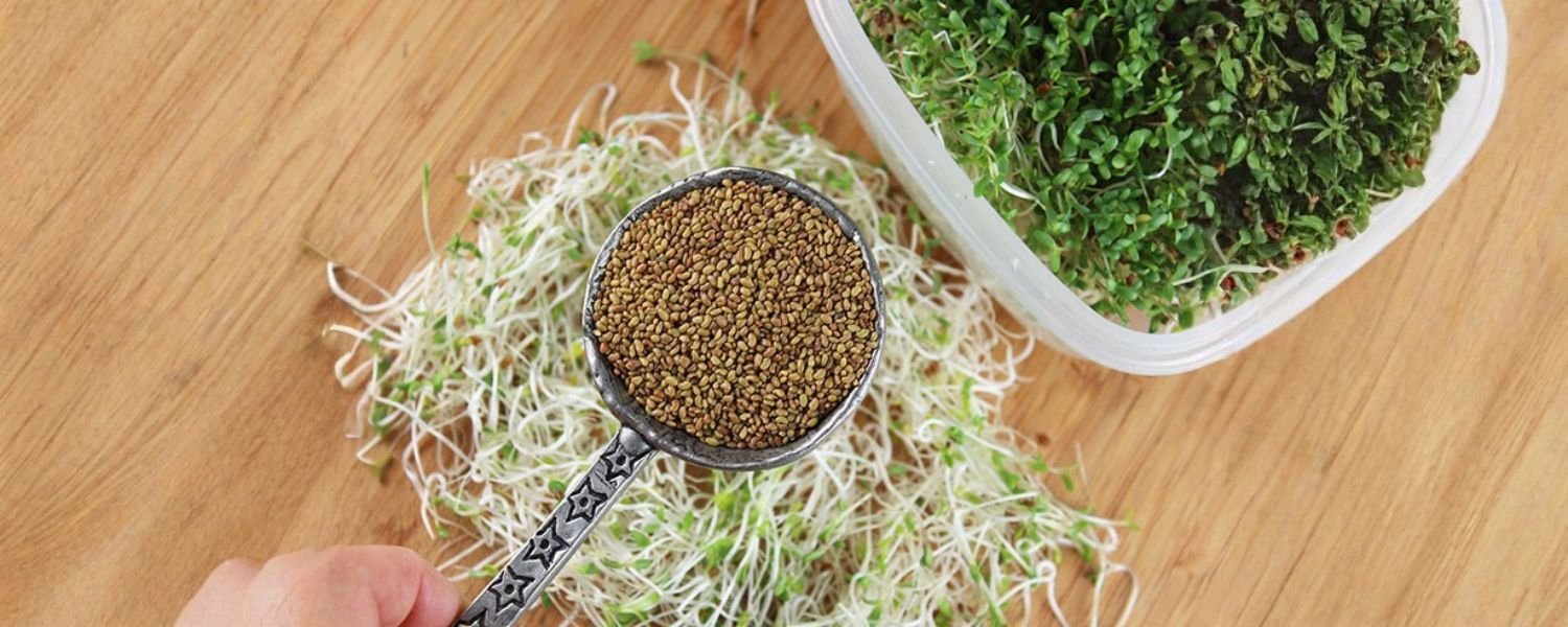 Sprouts Food Safety Rules