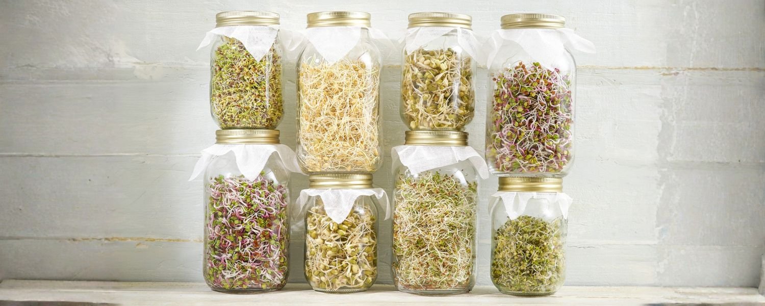 Types of Sprouts_ Benefits of Each