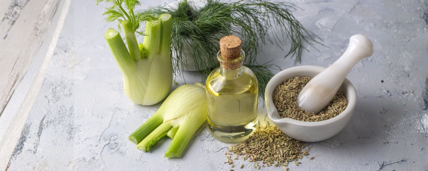 Benefits of Fennel Seed Oil to the Hair