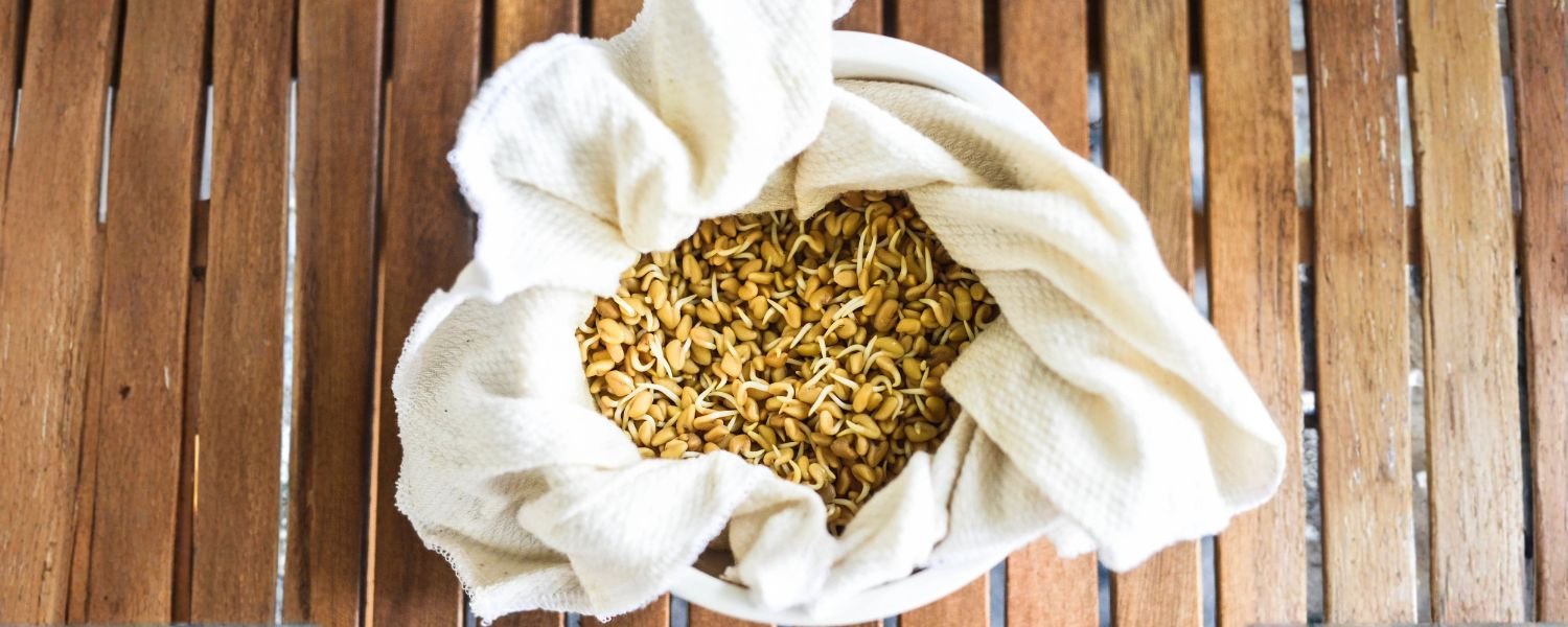 Benefits of Sprouting in Cloth