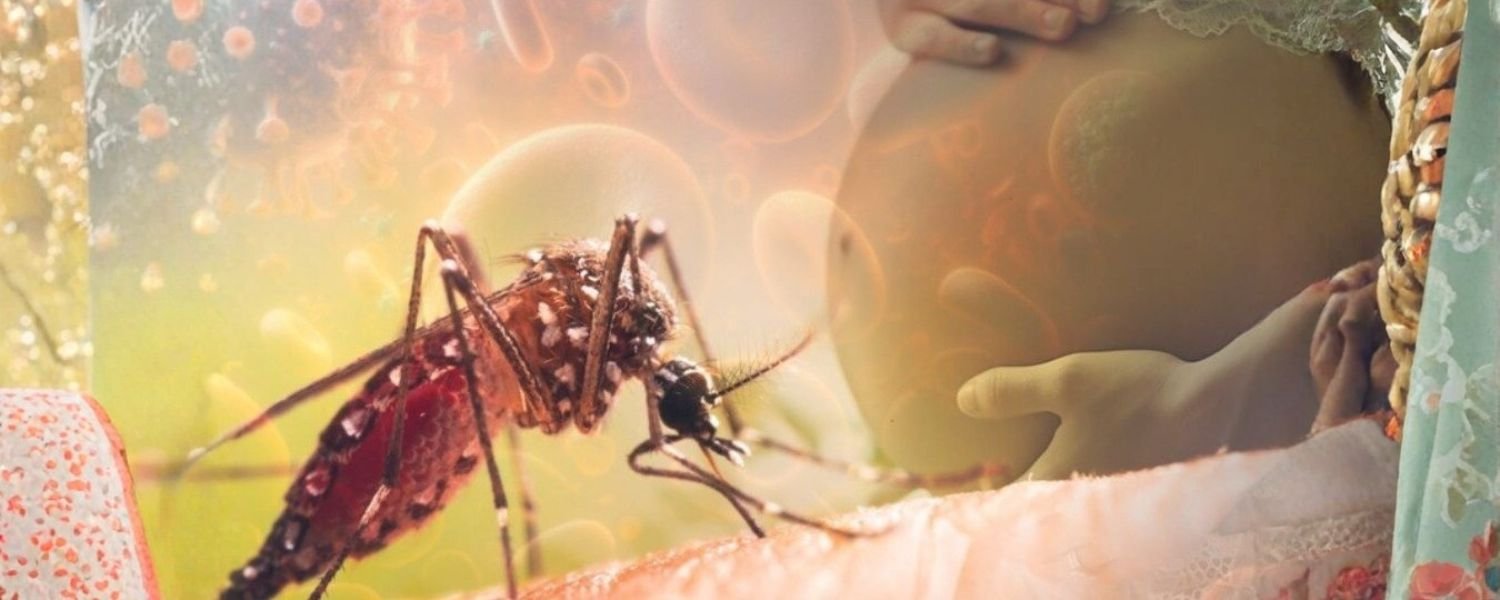 Concerns with Pregnancy and Perinatal Infections