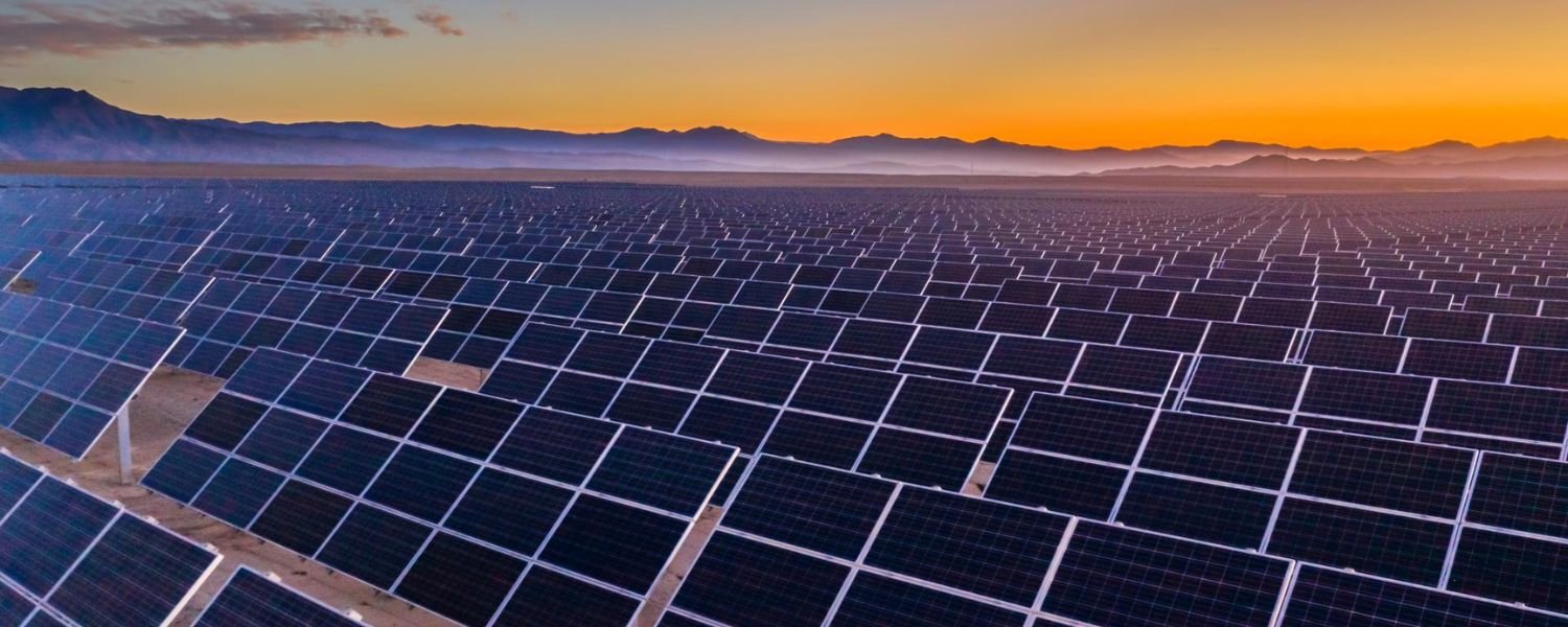 Export Opportunities