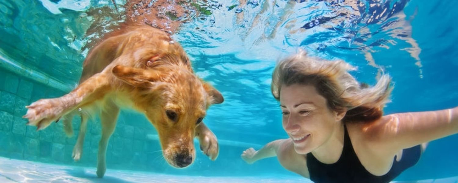 Fun Activities to Bond with Your Pets