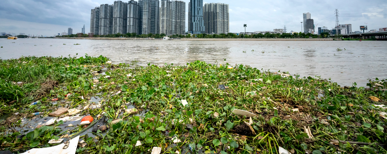 How Air Pollution Creates Economic Costs to the Tourism Sector