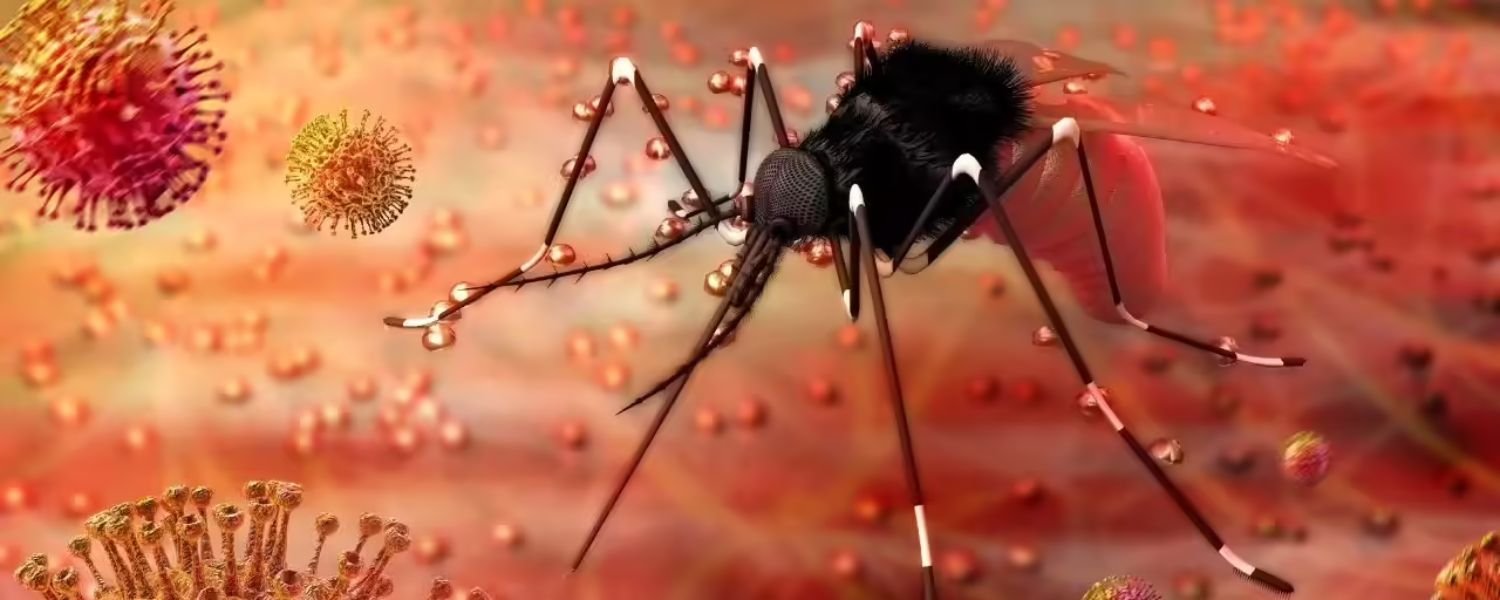 How Serious is the Zika Virus