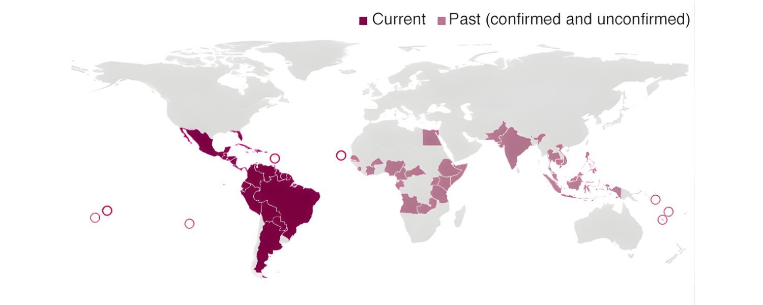 Is There a Current Zika Virus Outbreak