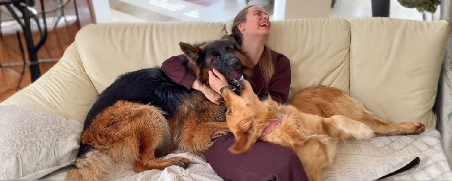 New Puppies Will Demand Time and Attention