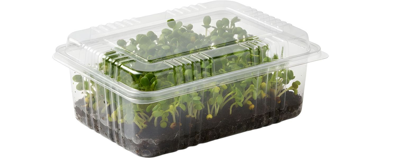 Raw Sprouts May Contain Harmful Bacteria