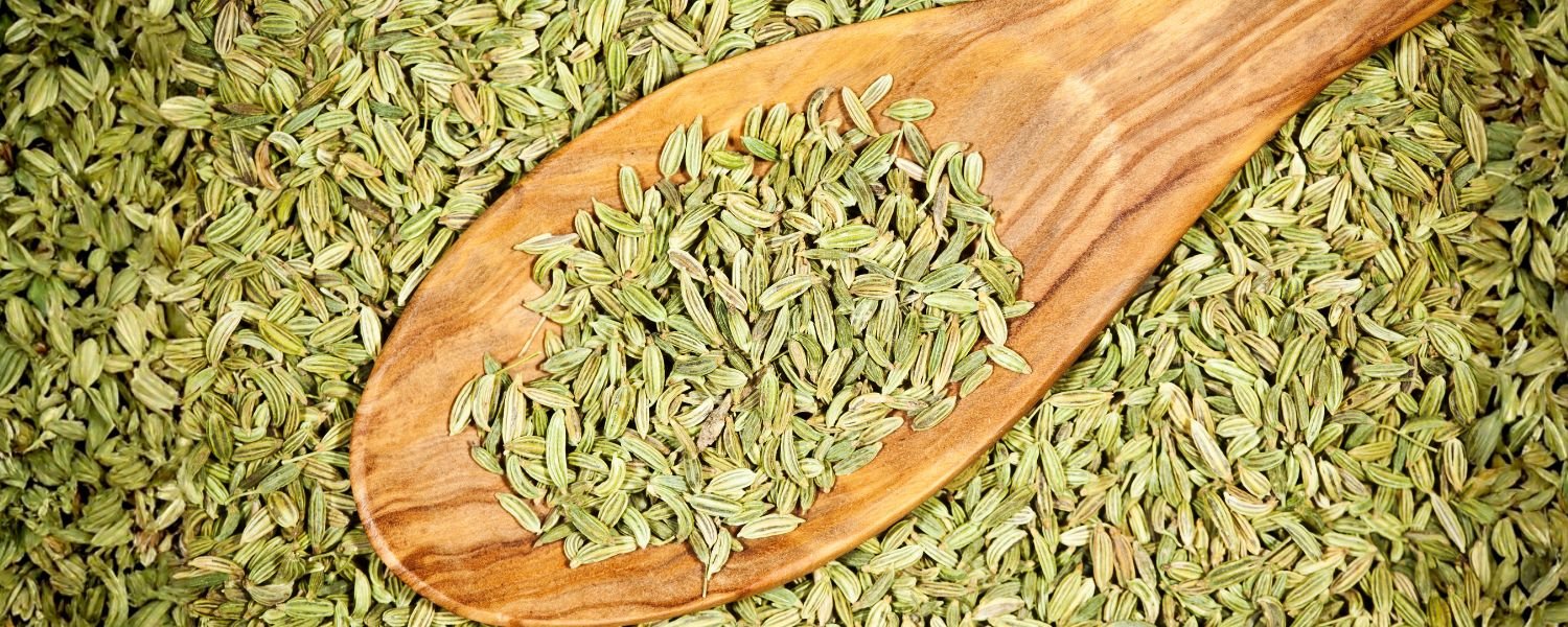 The Nutritional Profile of Fennel Seeds