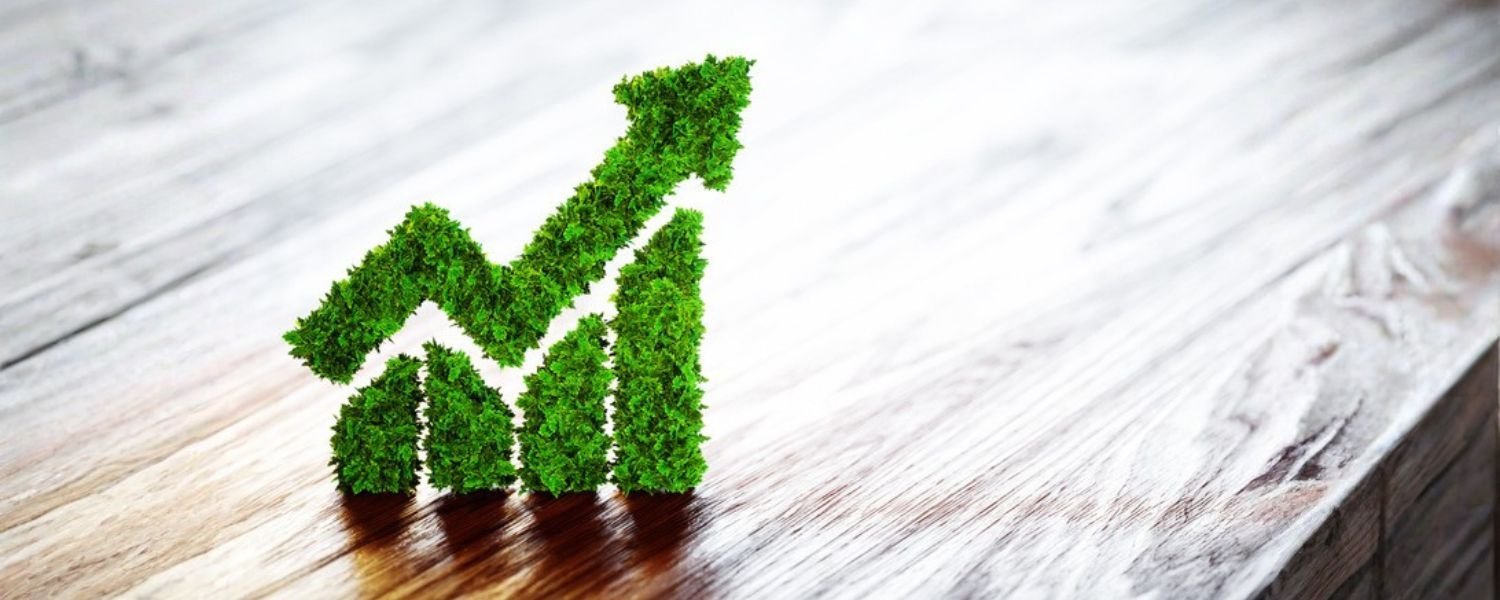 The Path to Sustainable Success