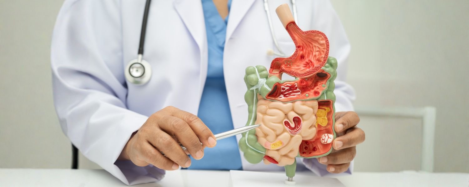 They May Improve Digestion