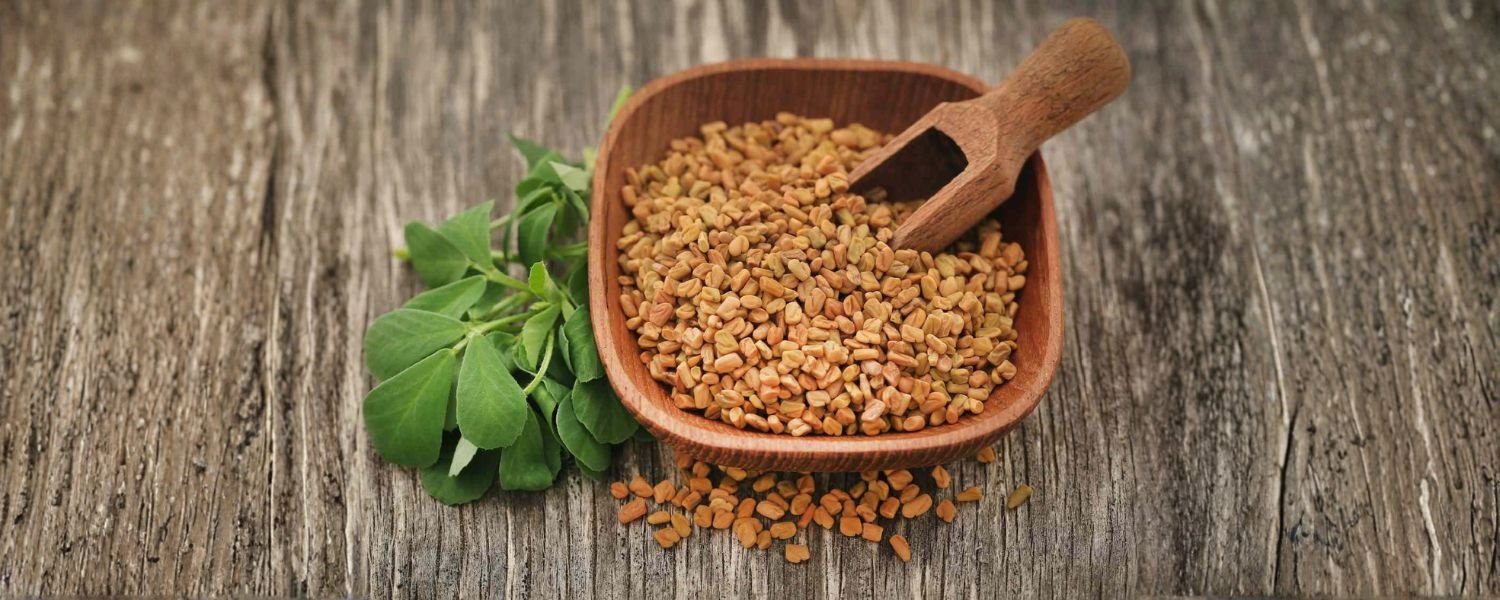 What Is Fenugreek