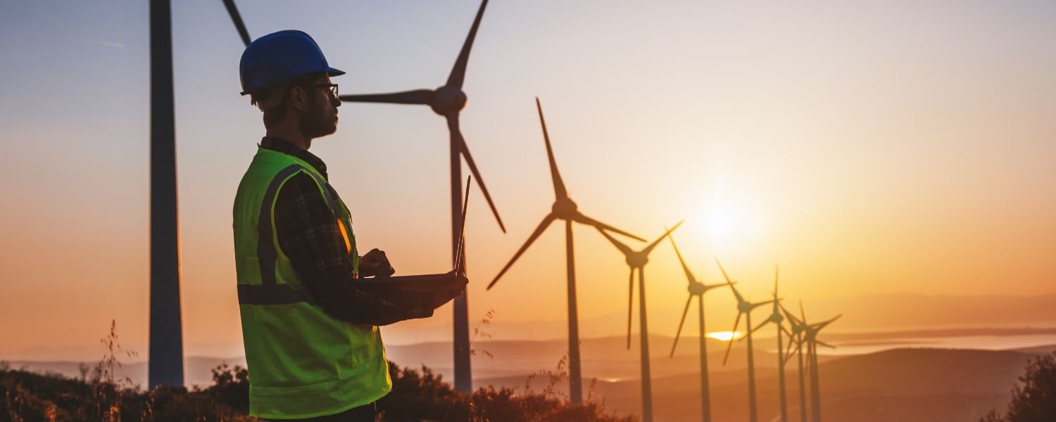 Who Should Invest in Renewable Energy Stocks in India