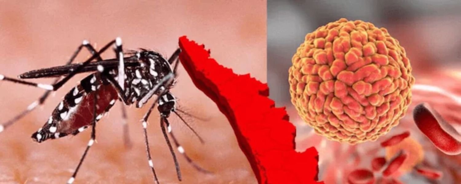 Zika Virus in India