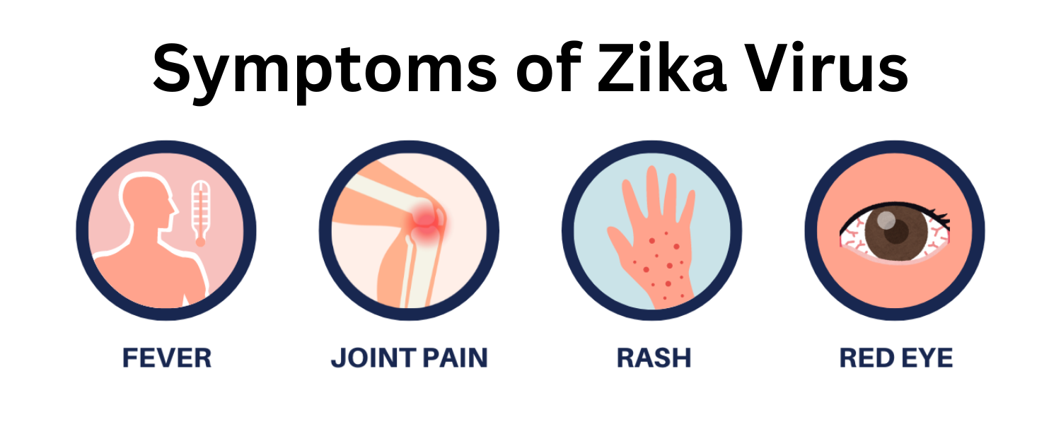 Symptoms of zika virus