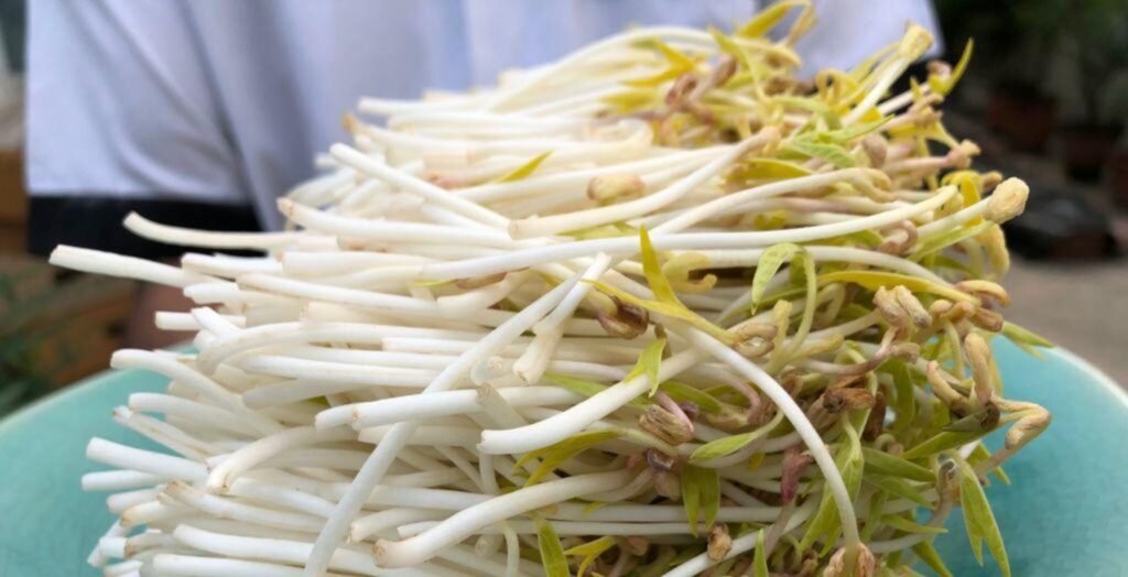 Bean Sprouts, Bean Sprouts benefits