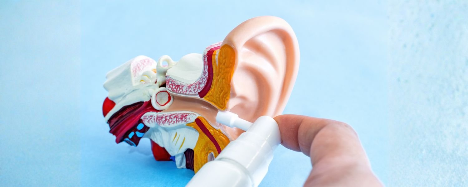 Some Facts About the Middle and Inner Ear