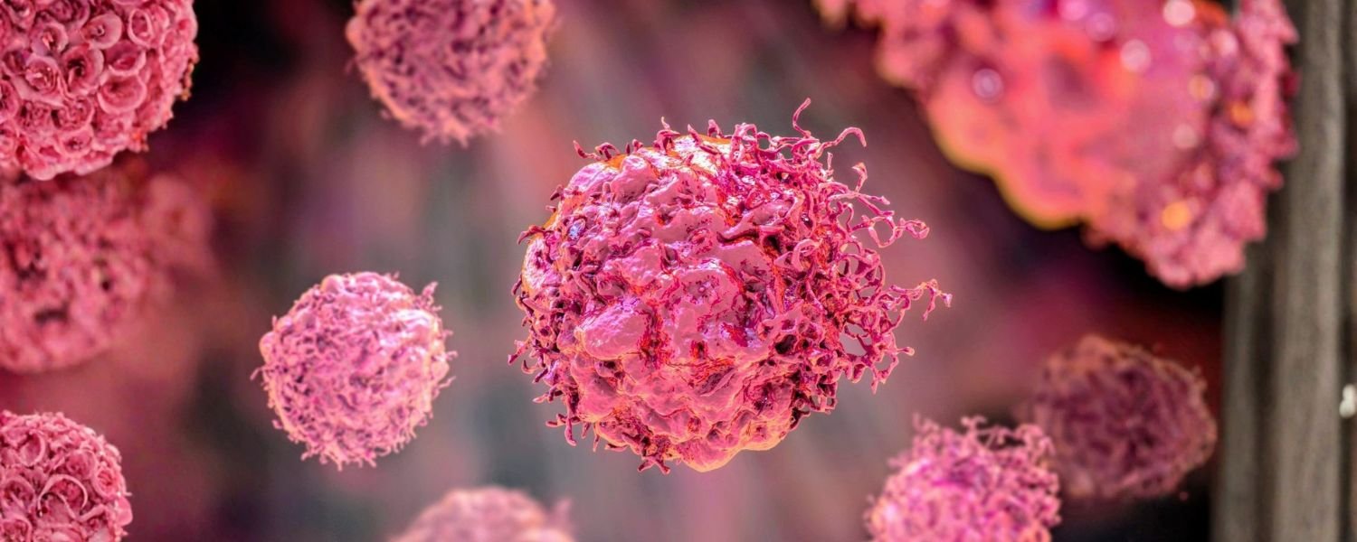 May Fight Cancer Cells