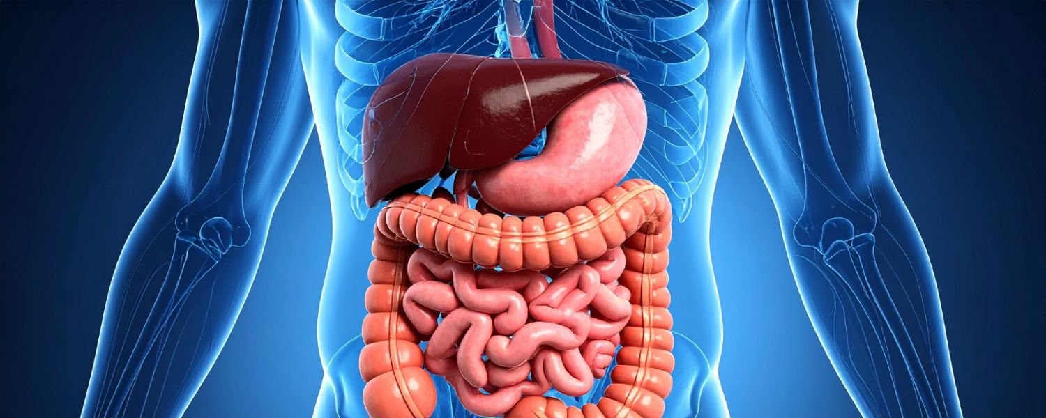 Foods to Include for a Healthy Liver