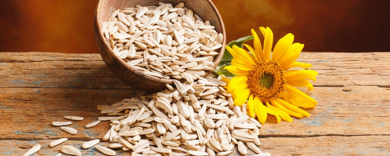Health Values of Sunflower Seeds