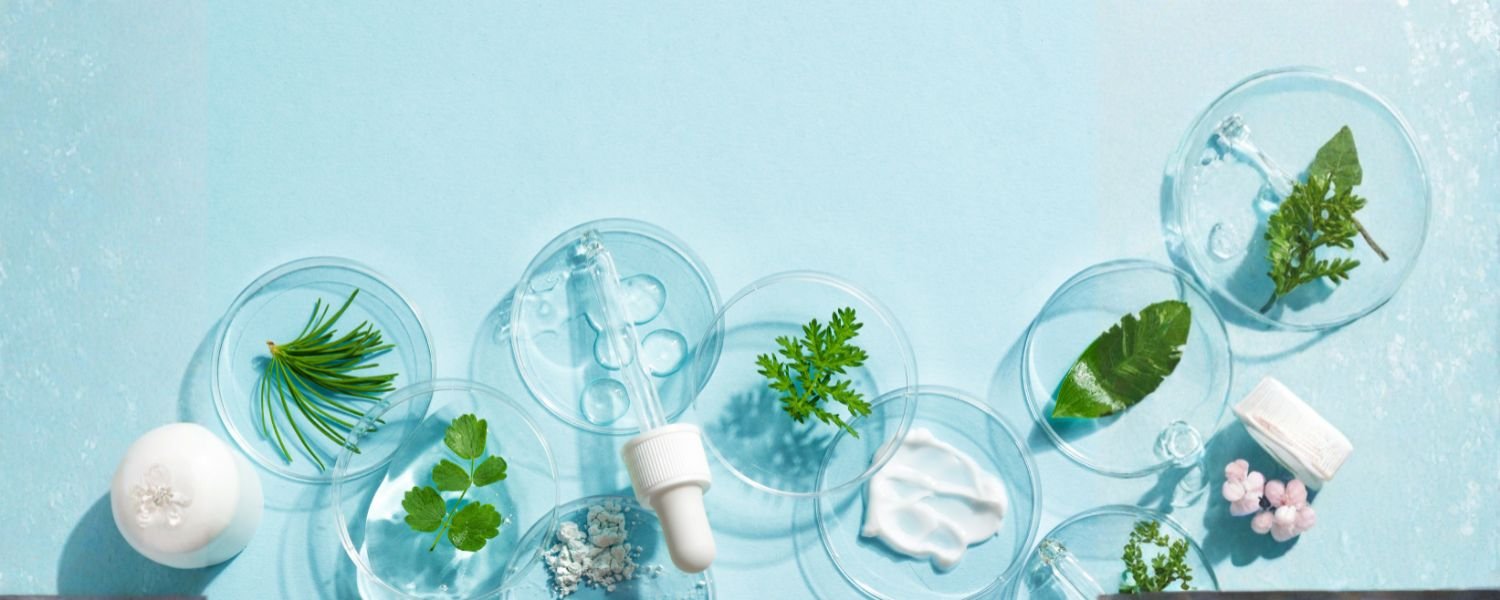 Ingredients, Best sunscreen for oily skin