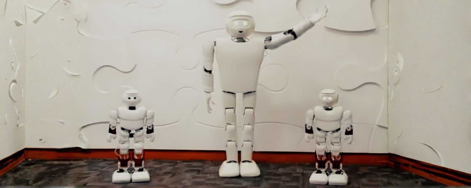 KEMPA, Humanoid robots in india