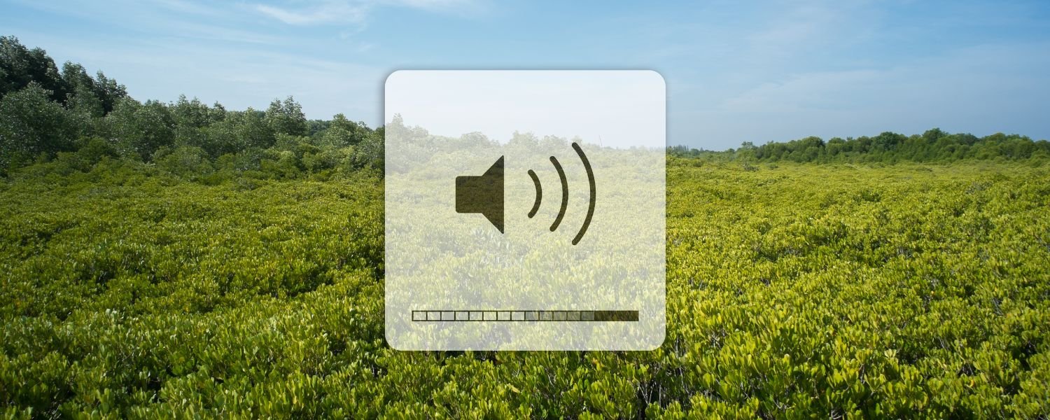 Nature Sounds_ The Whispers of the Wild