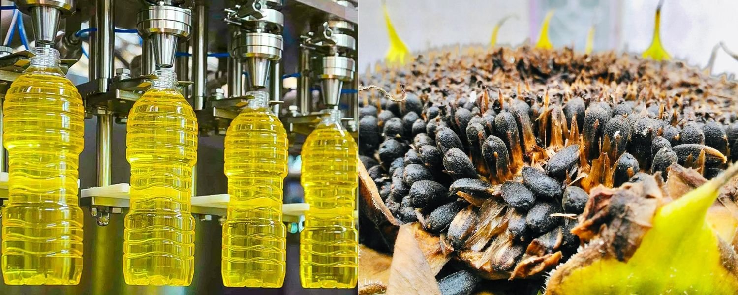 Sunflower Seed Extract vs Oil
