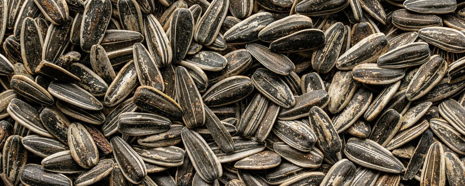 The Nutritional Powerhouse: Why Sunflower Seeds Are Great for Hair
