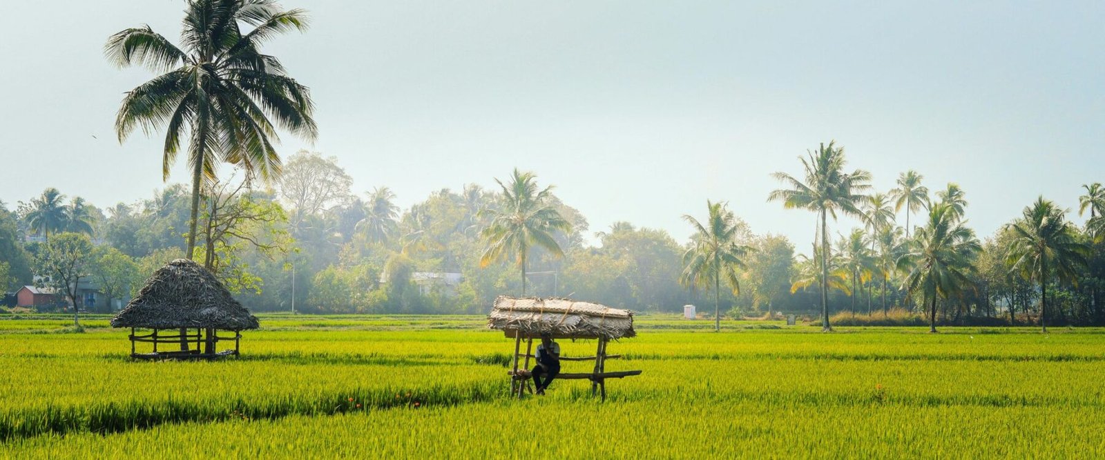 Top Tourist Destinations in the States in South India