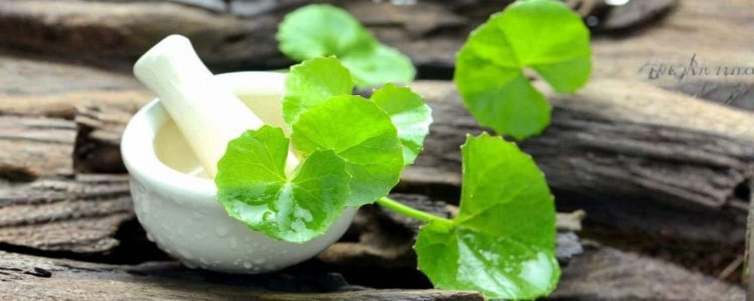 Properties of Brahmi