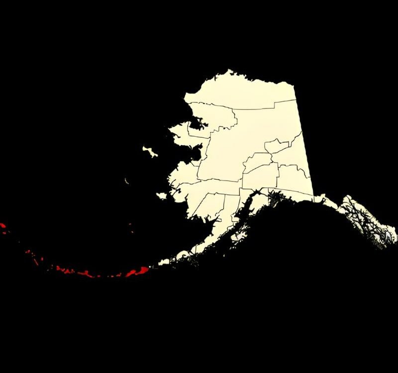 10 Marketing Agencies  in Aleutians West Census Area Entrepreneurs Can Count On