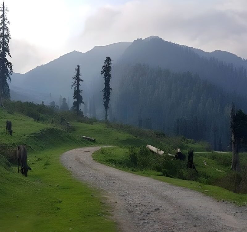 Unlock Career Success: Best Digital Marketing Institutes in Kathua