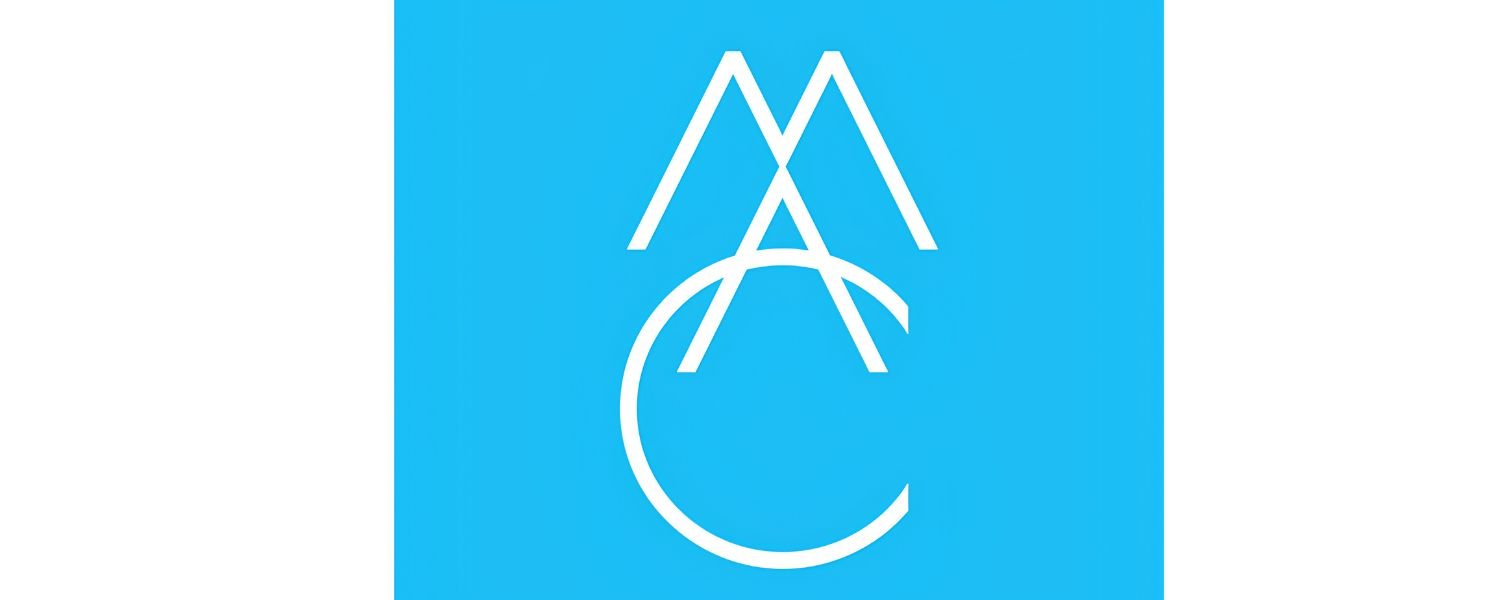 Madison Ave Collective Digital Marketing agency